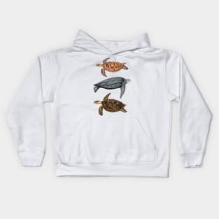 Sea turtles Loggerhead, leatherback and hawksbill turtles Kids Hoodie